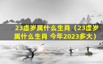 23虚岁属什么生肖（23虚岁属什么生肖 今年2023多大）